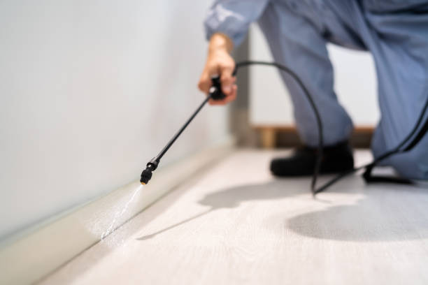 Licensed Pest Control service in Manchester, OH - Show Me Pest Control